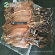 dried squid no salt illex squid